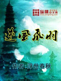 逆风飞飏
