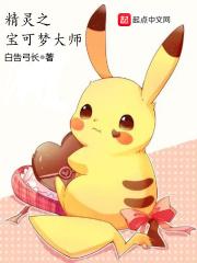 精灵之宝可梦大师在线观看