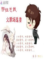邪性总裁火葬场追妻免费阅读
