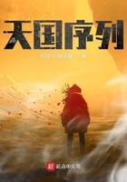 天国的fc