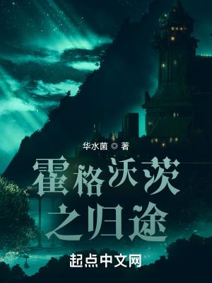霍格沃茨之归途TXT免费