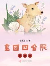 四合院之养崽崽