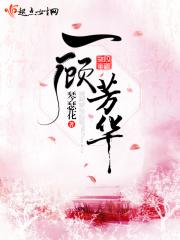 一顾芳华txt