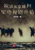 穿越抗战之川军