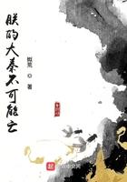朕的大秦不可能亡123读