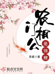 农门相公是锦鲤全文免费阅读