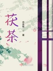 茯茶是黑茶吗