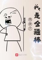 重生西游之我是金箍棒