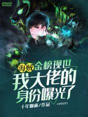 海贼之金榜排行榜